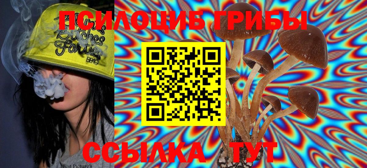 Псилоцибиновые грибы Psilocybe  Вход с VPN  Черкесск  Псилоцибиновые грибы Psilocybe 